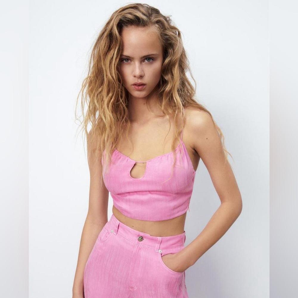 Pink Zara Crop Top - US L
